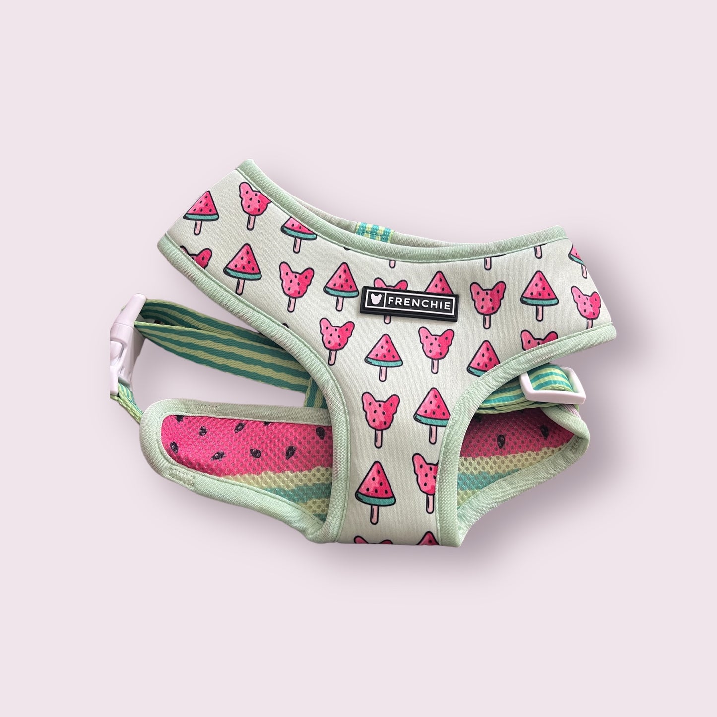 Frenchie Dog Harness