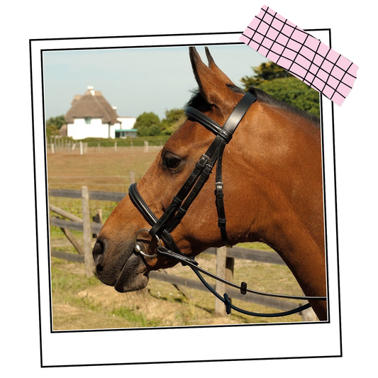 Heritage Saddlery English Leather Bridle With Raised Cavesson Noseband