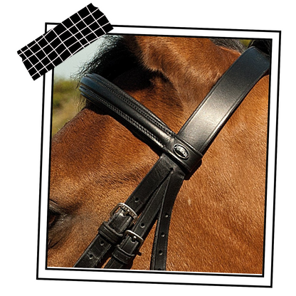 Heritage Saddlery English Leather Bridle With Raised Cavesson Noseband