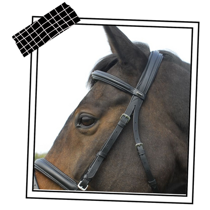 Heritage Saddlery English Leather ‘Comfort’ Bridle With Flash Noseband