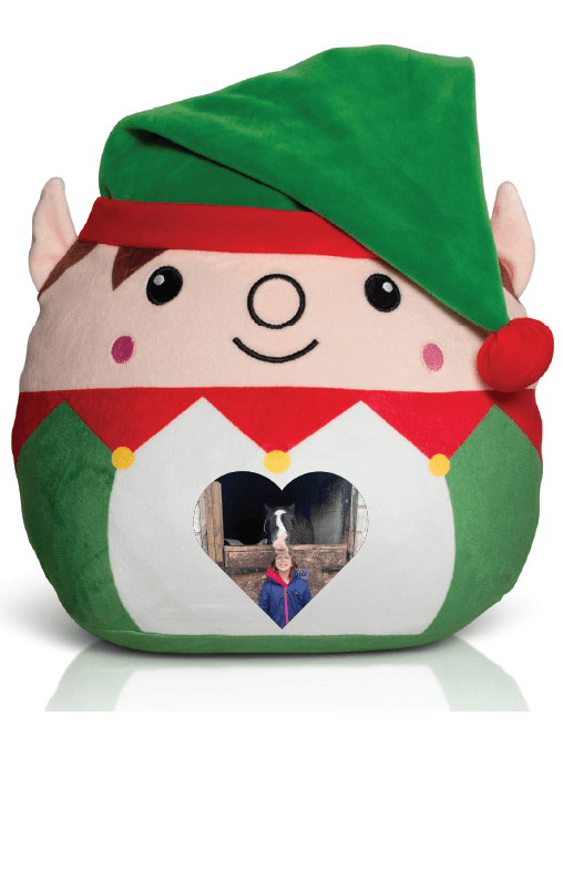 Elf Squishie